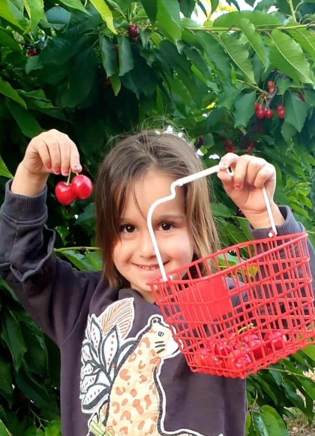 צימרים בגולן דובדבן בחרמון Mas'ada Εξωτερικό φωτογραφία